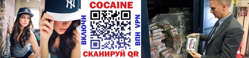 где можно купить наркотик  гидра маркетплейс  КОКАИН Fish Scale  Грозный 