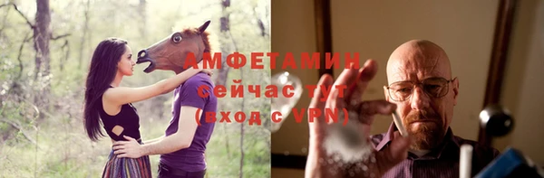 ПСИЛОЦИБИНОВЫЕ ГРИБЫ Бородино