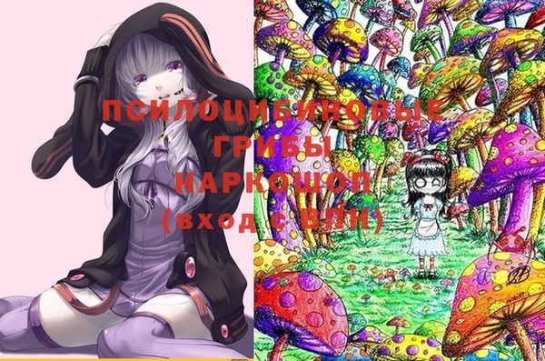 мдпв Бугульма
