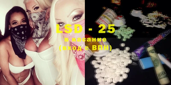 ПСИЛОЦИБИНОВЫЕ ГРИБЫ Бородино