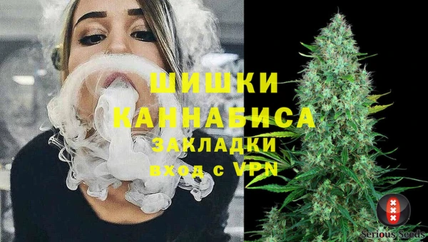 хмурый Бронницы